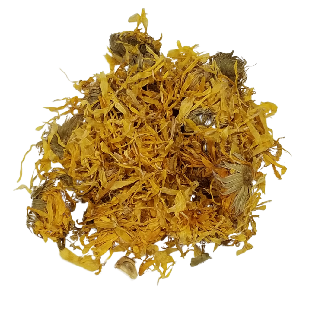 Calendula
