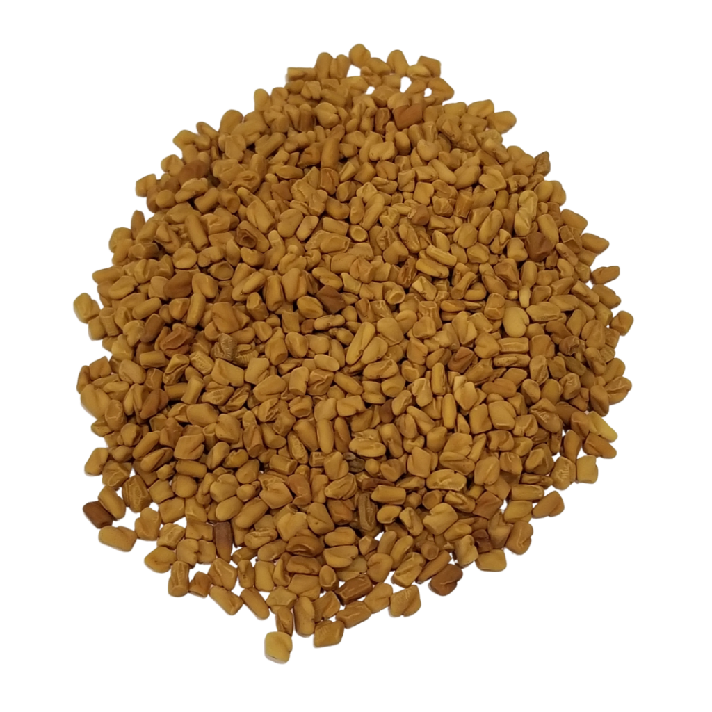 Fenugreek Seed