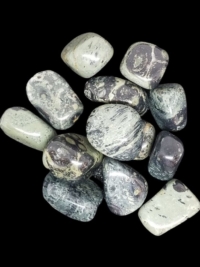 Kambaba Jasper, tumbled