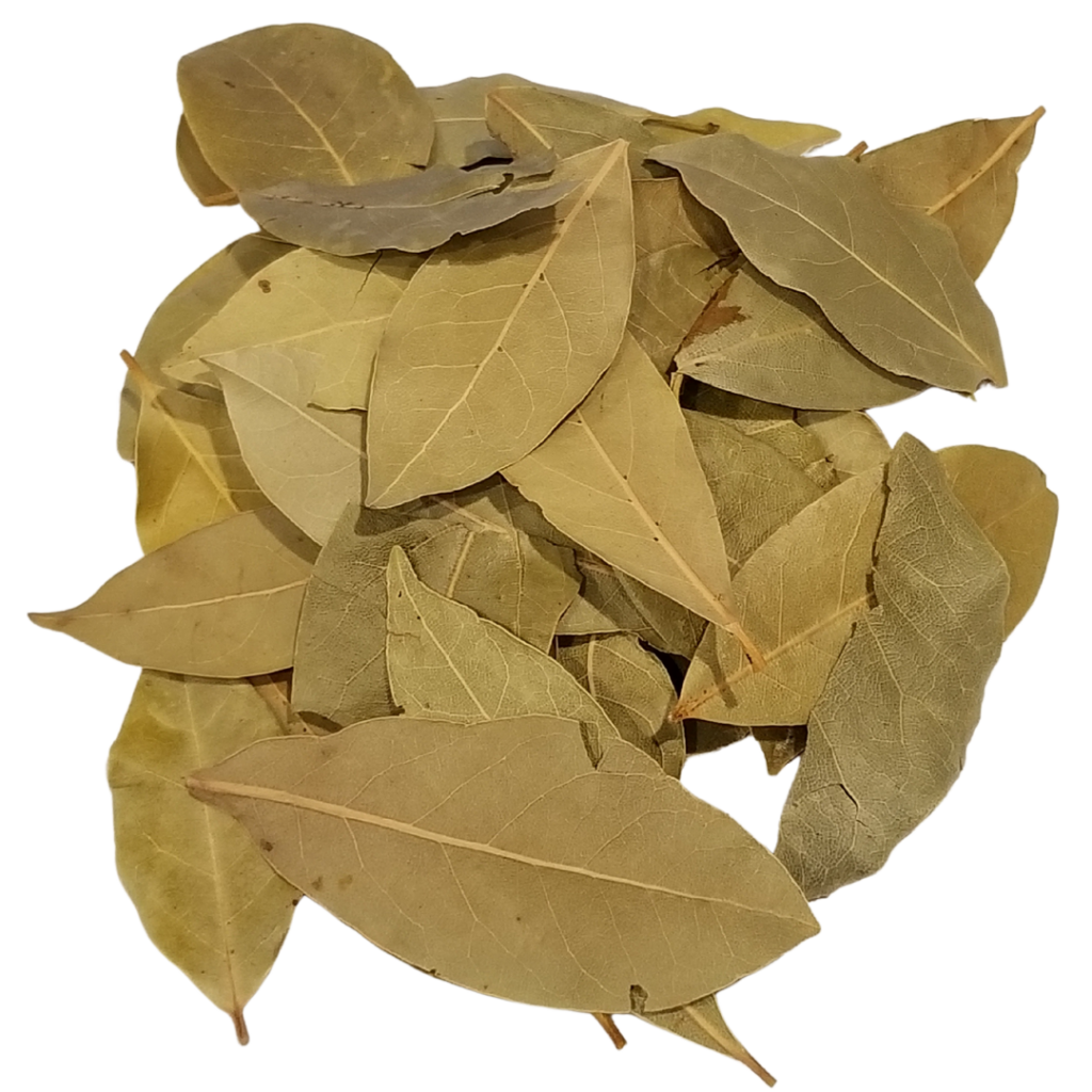 Bay Leaf
