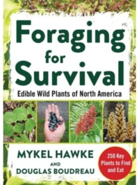 Foraging for Survival