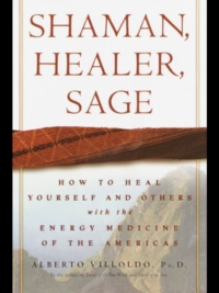 Shaman, Healer, Sage