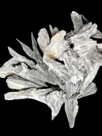 Black Kyanite, raw fans