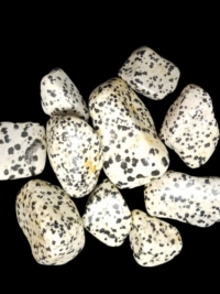 Dalmatian Jasper, tumbled