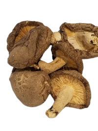 Shiitake Mushrooms