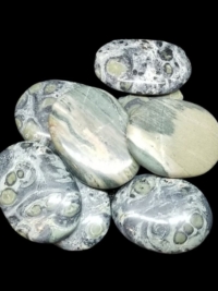 Kambaba Jasper Worry Stone