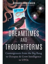 Dreamtimes and Thoughtforms