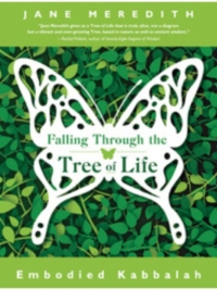 Falling Through the Tree of Life