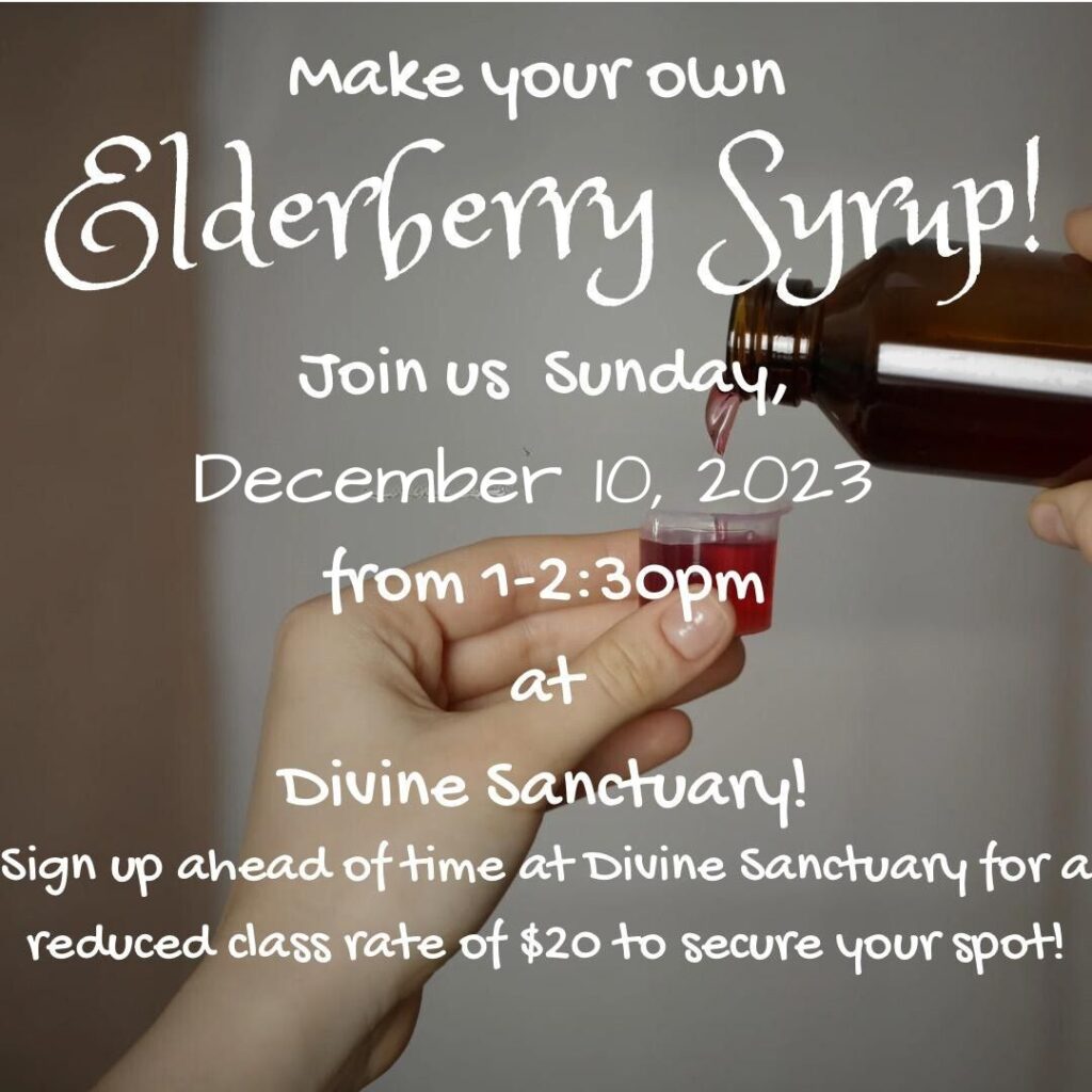 How to Make Your Own Elderberry Syrup