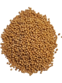 Mustard Seed, Yellow whole