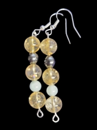 Uranus Retrograde Earrings