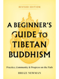 A Beginner's Guide to Tibetan Buddhism