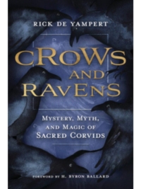 Crows and Ravens