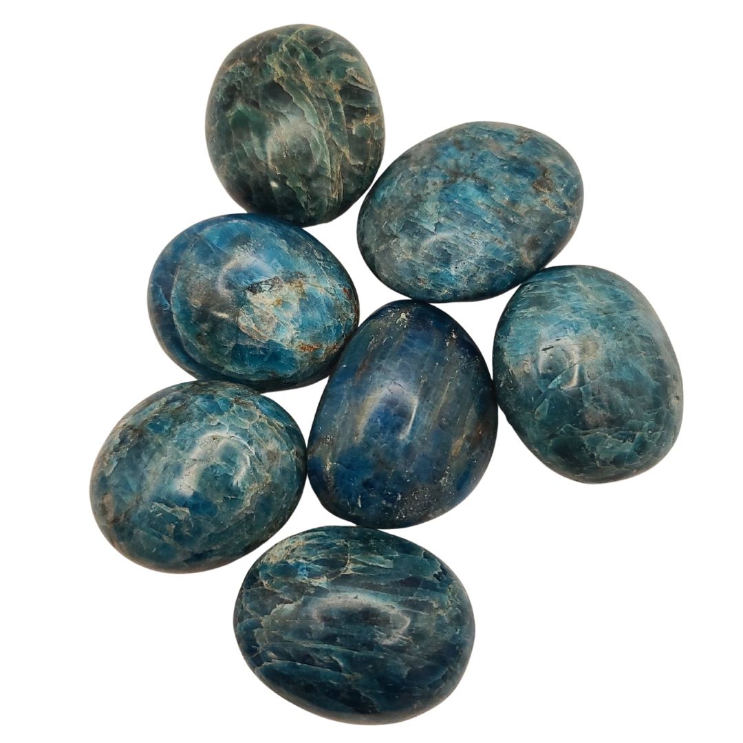 Apatite Palm Stone
