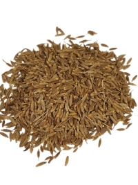 Cumin Seed