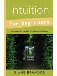 Intuition for Beginners
