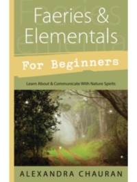 Faeries & Elementals for Beginners