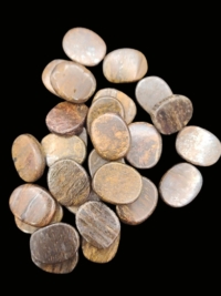 Bronzite Little Buddy