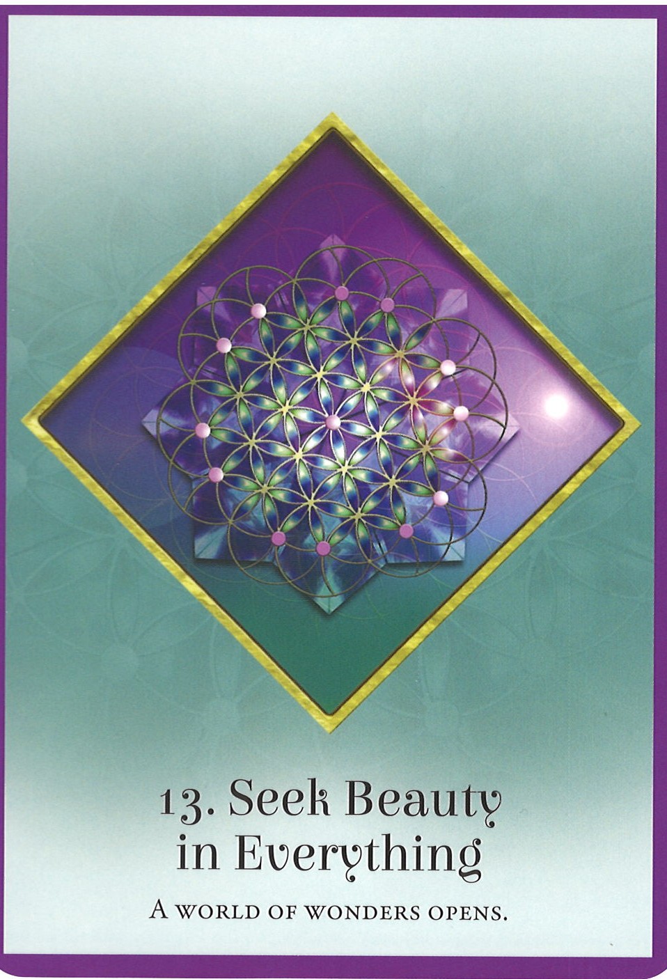 Seek Beauty in Everything