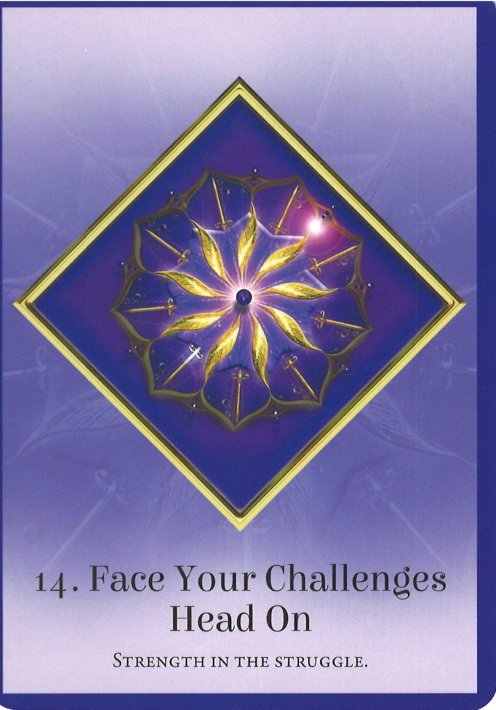 Face Your Challenges Head On