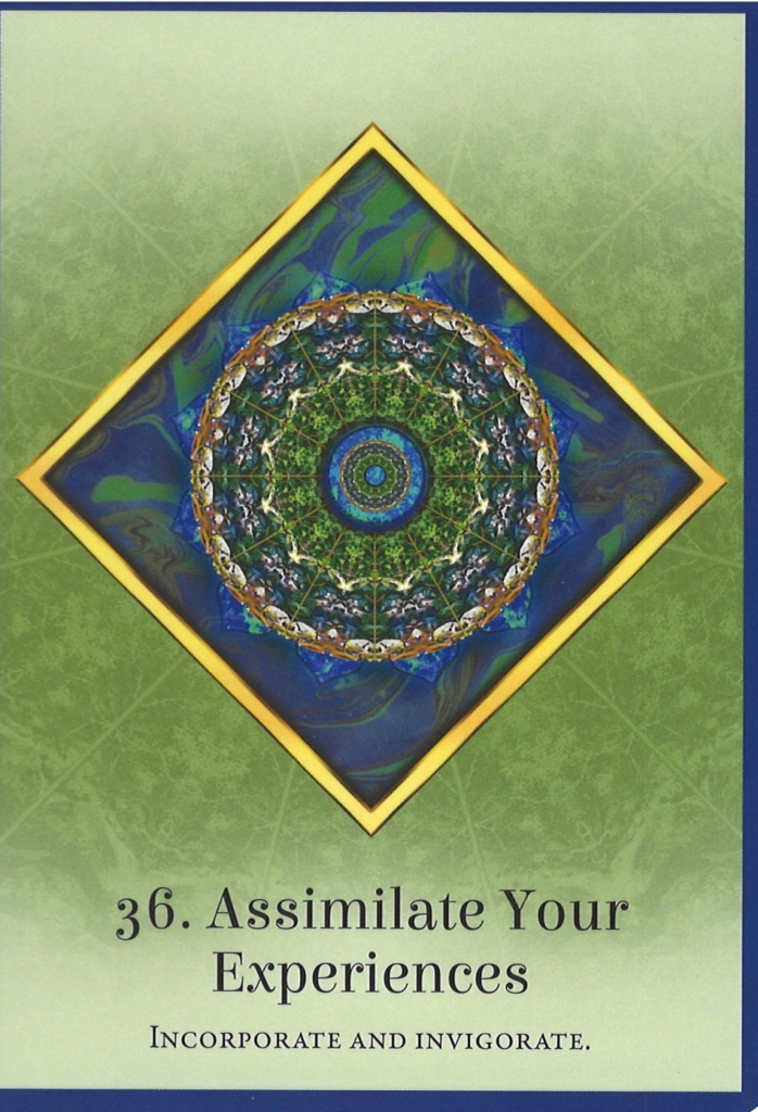 Assimilate Your Experiences