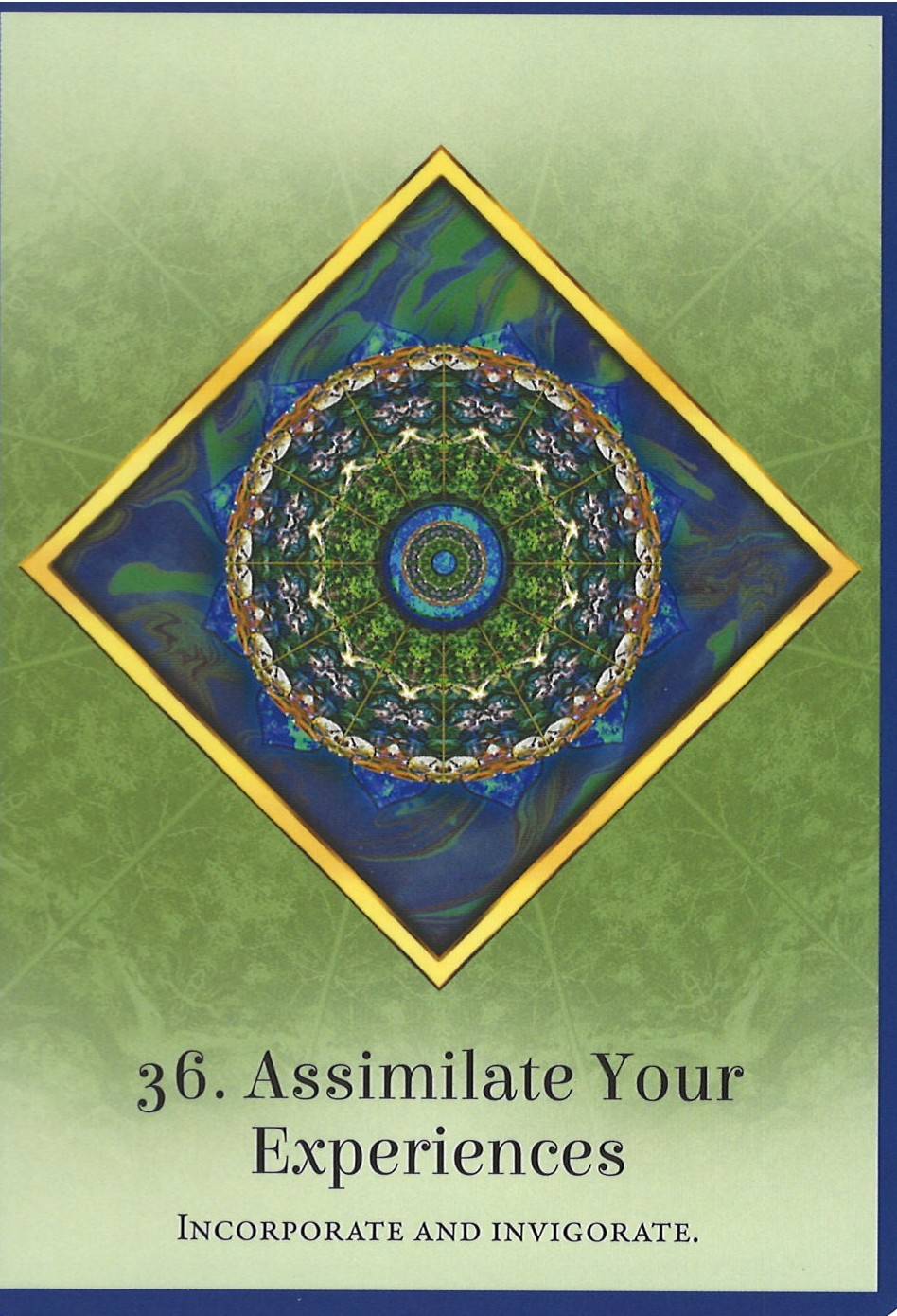Assimilate Your Experiences