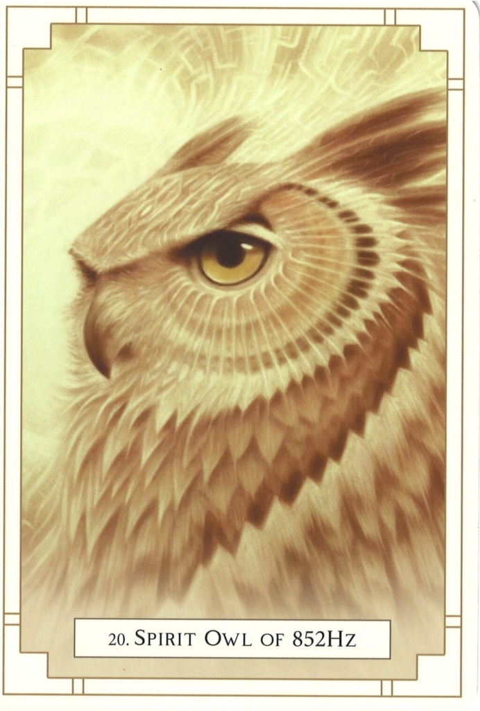 Spirit Owl of 852Hz