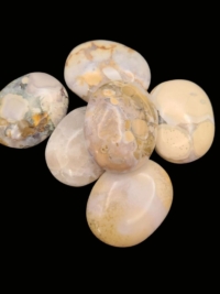 King Cobra Jasper Palm Stone