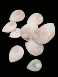 Shive Eye Tear Drop (Mermaid Money)
