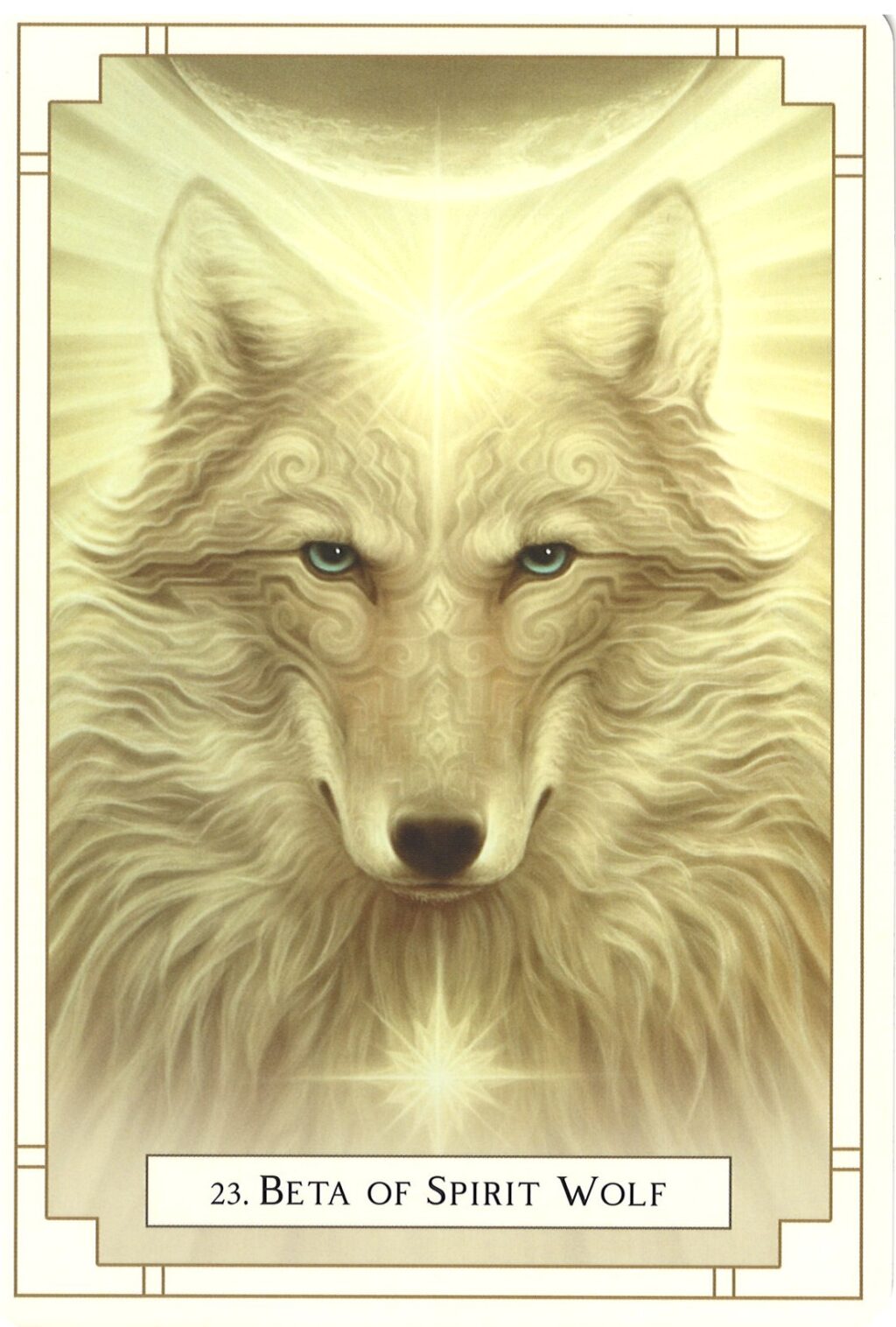 Beta of Spirit Wolf