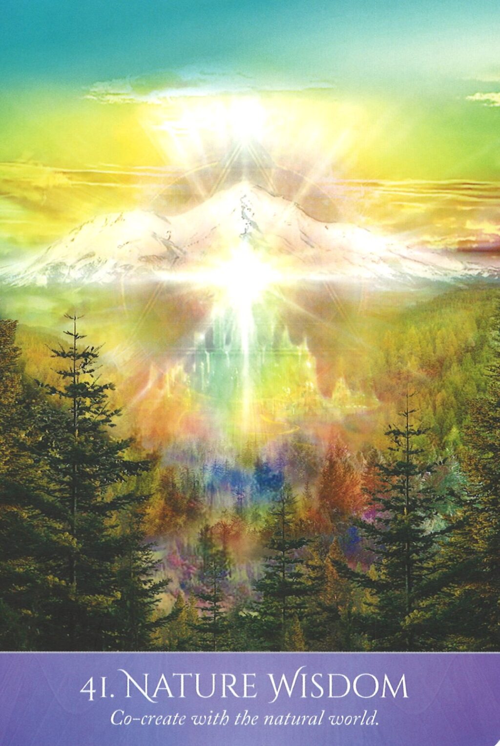 Nature Wisdom
