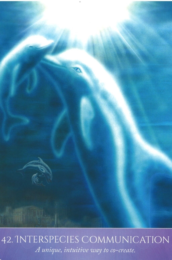 Interspecies Communication